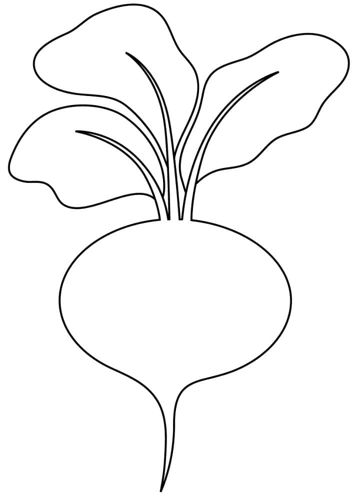 Desenho de Beterraba Bem Simples para Colorir