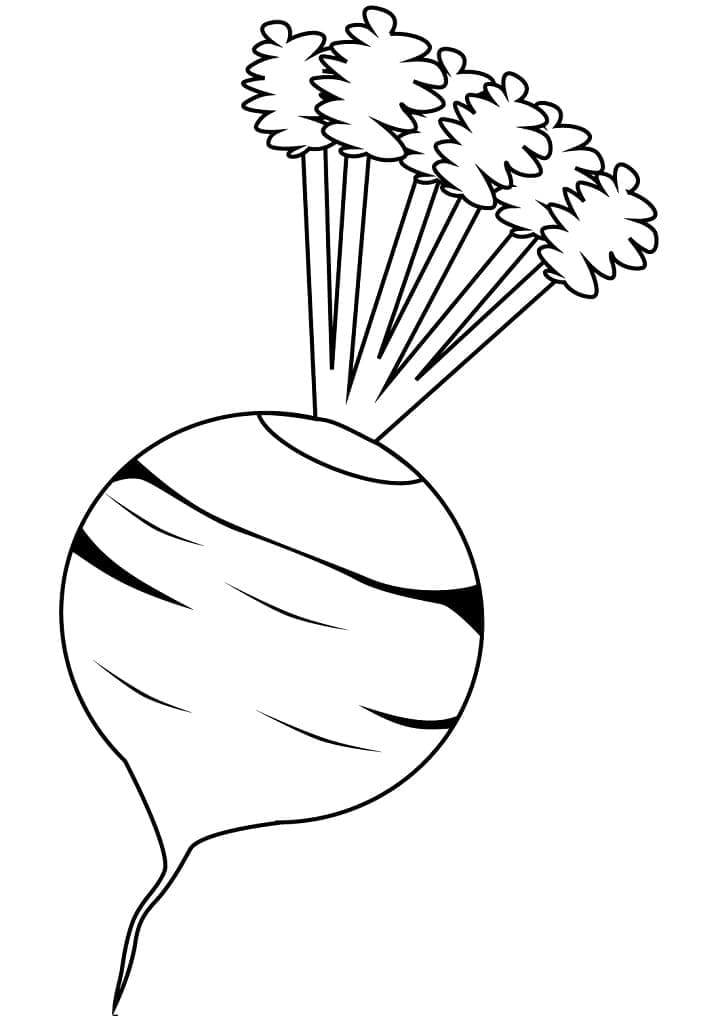 Desenho de Beterraba Fácil para Colorir