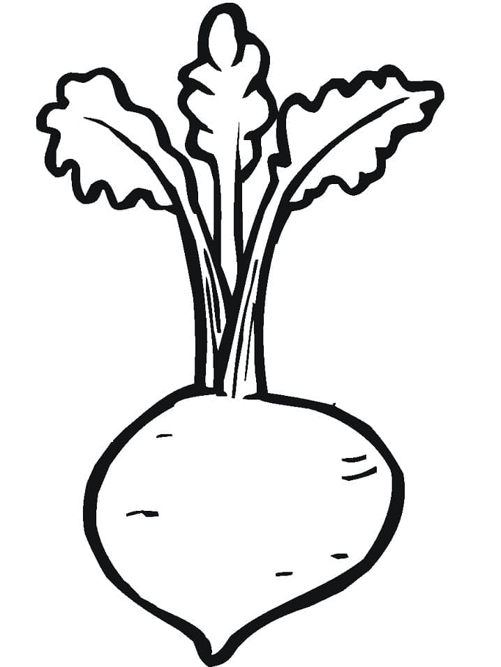Desenho de Beterraba Grátis para Colorir