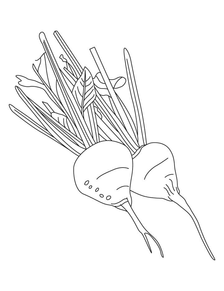 Desenho de Beterraba para Colorir com Tinta Guache para Imprimir