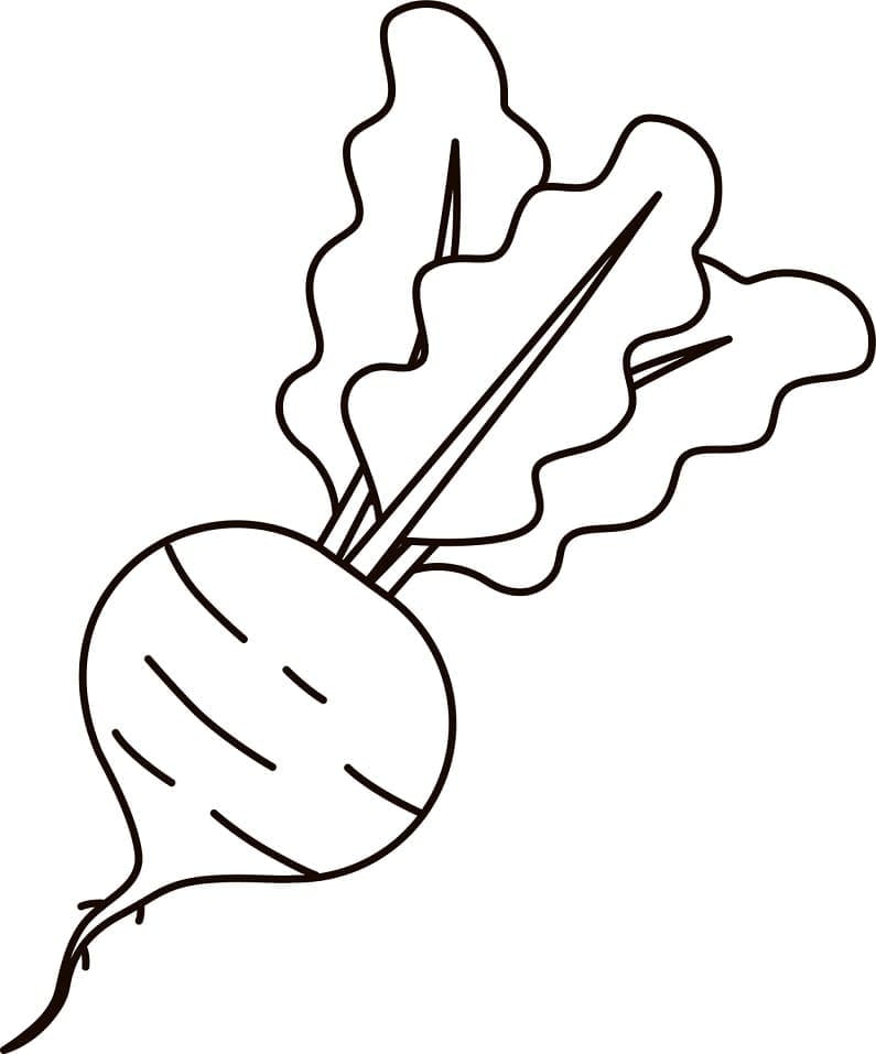 Desenho de Beterraba para Colorir Grátis Pdf