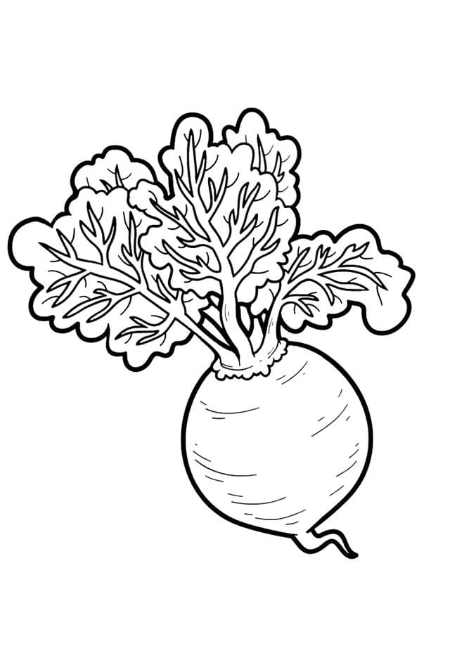 Desenho de Beterraba para Colorir Imprimivel Grátis
