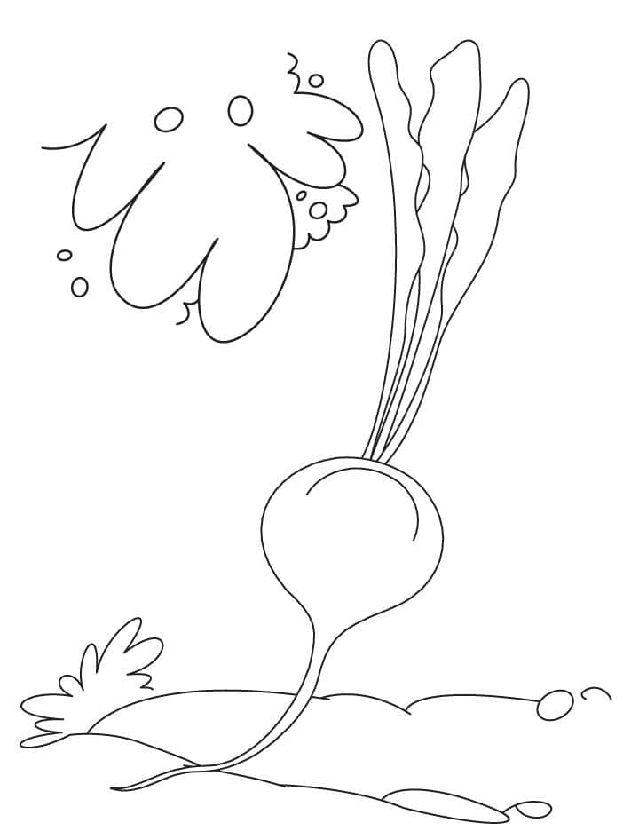 Desenho de Beterraba para Colorir Imprimivel Pdf