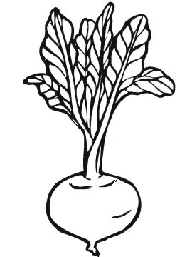 Desenho de Beterraba para crianças para Colorir