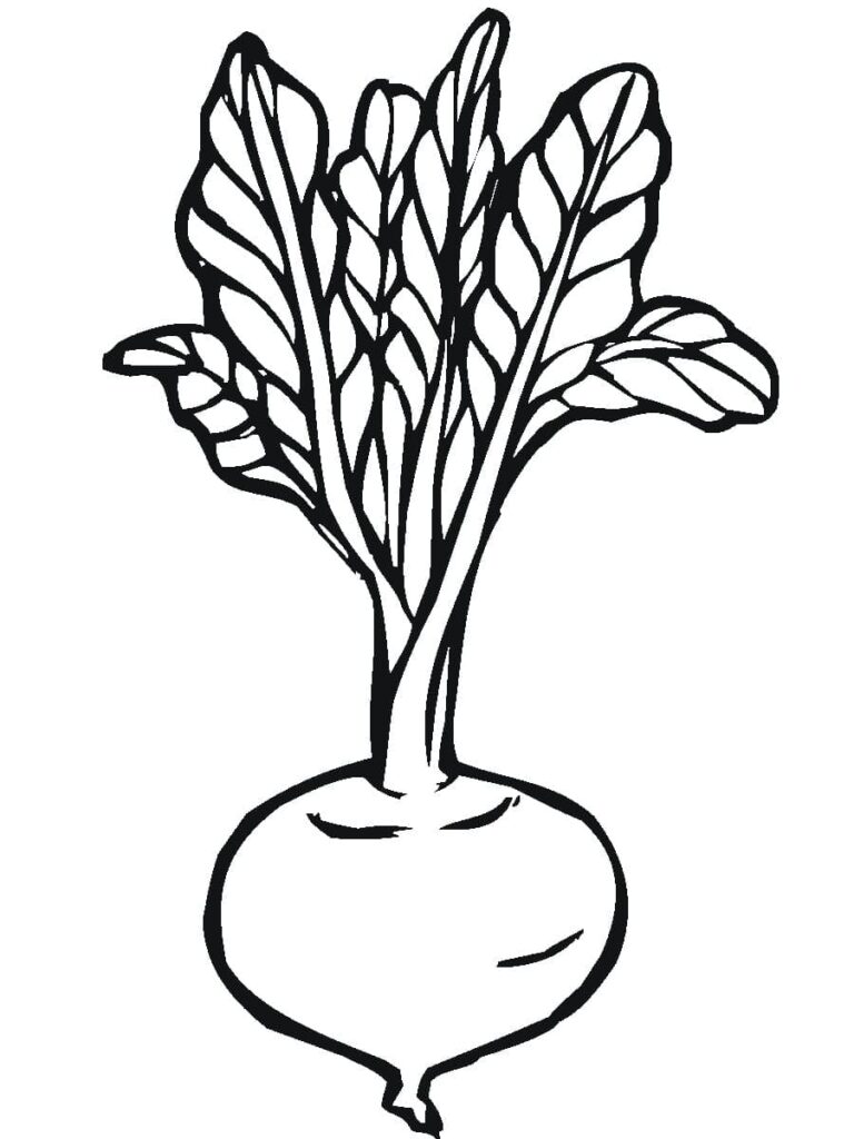 Desenho de Beterraba para Crianças para Colorir
