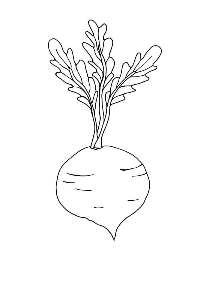 Desenho de Beterraba para Imprimir Download