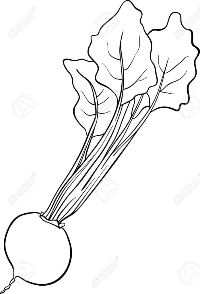 Desenho de Beterraba para Imprimir Grátis Download