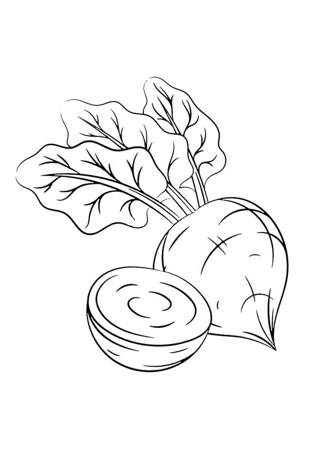 Desenho de Beterraba para Imprimir Pdf