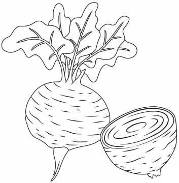 Desenho de Beterraba para Pintar com Giz de Cera Pdf