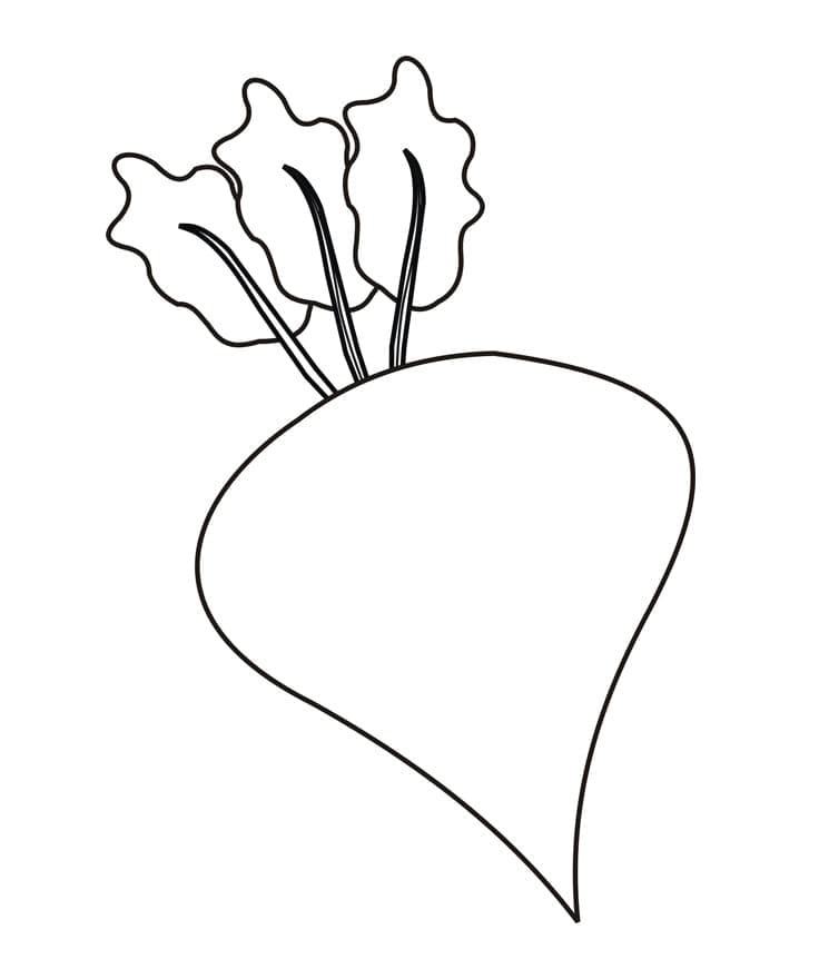Desenho de Beterraba Simples para Colorir