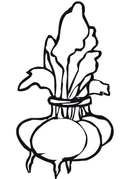 Desenho de Beterrabas para Colorir