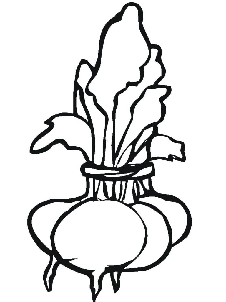 Desenho de Beterrabas para Colorir