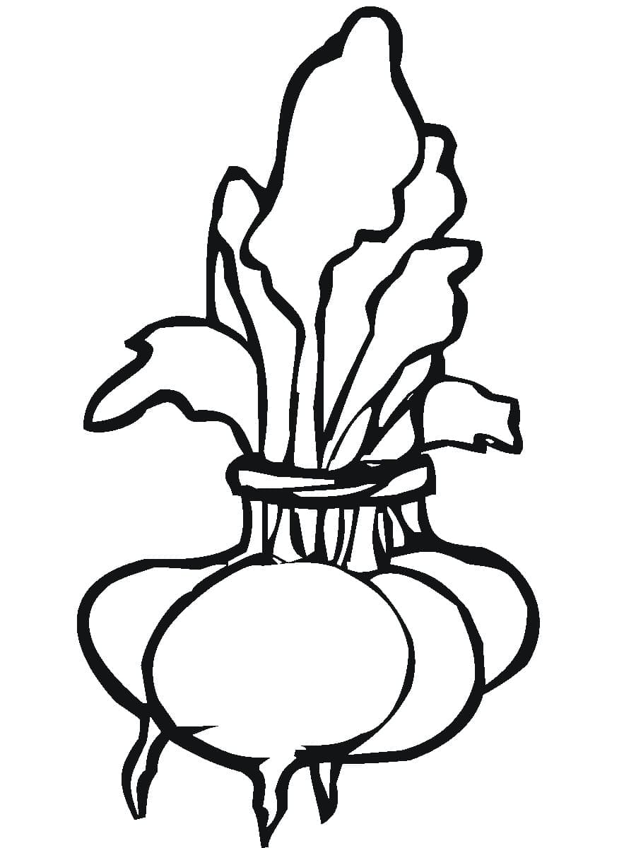 Desenho de Beterrabas para Colorir