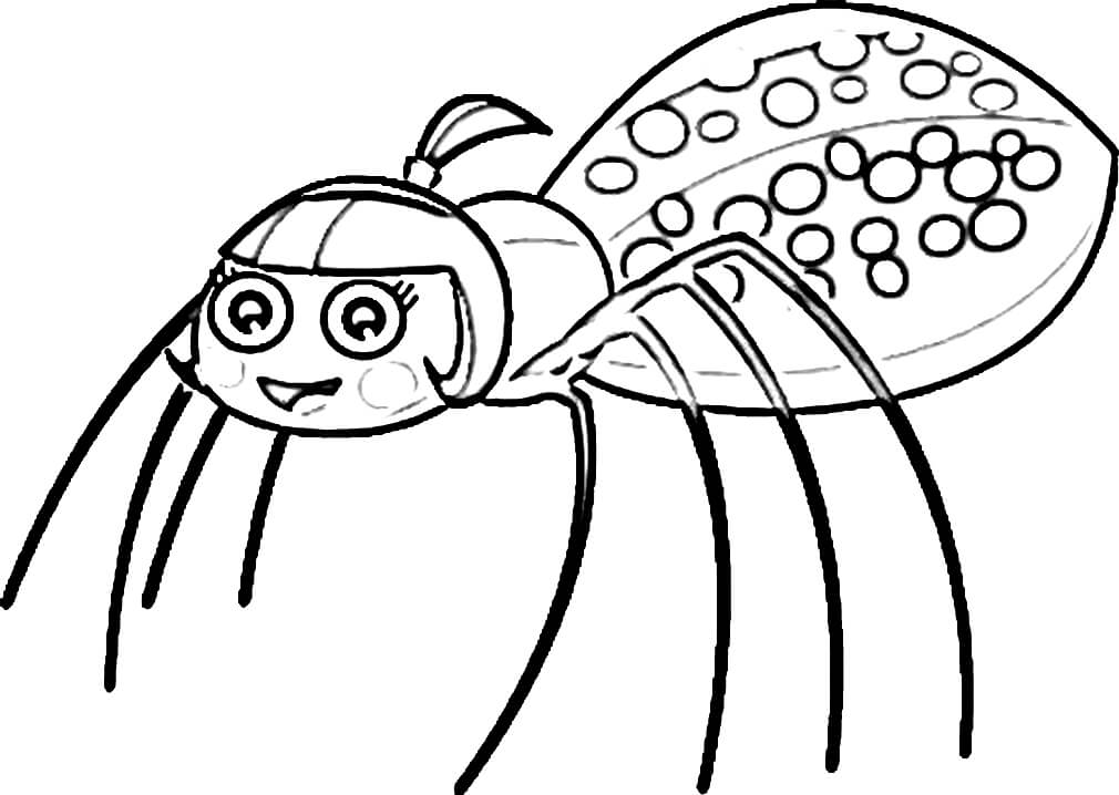 Desenho Aranha Filha de Bob Zoom para Colorir