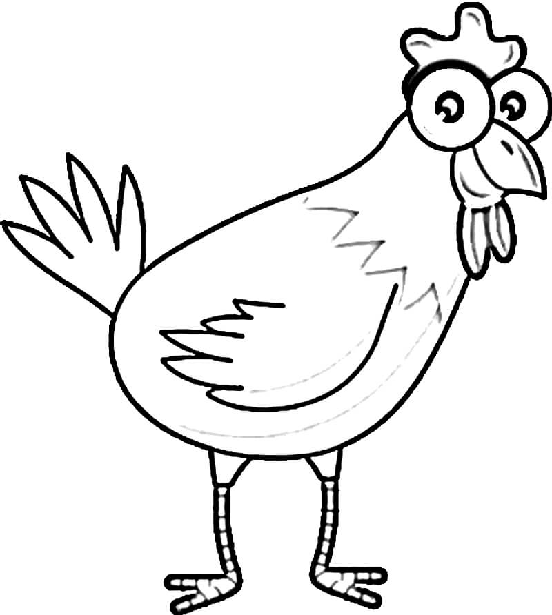 Desenho Galinha de Bob Zoom para Colorir