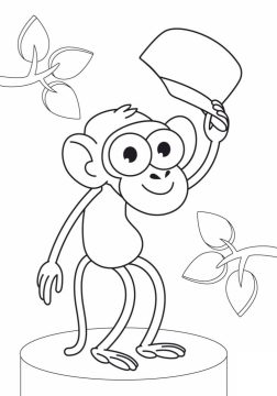 Desenho Macaco de Bob Zoom para Colorir