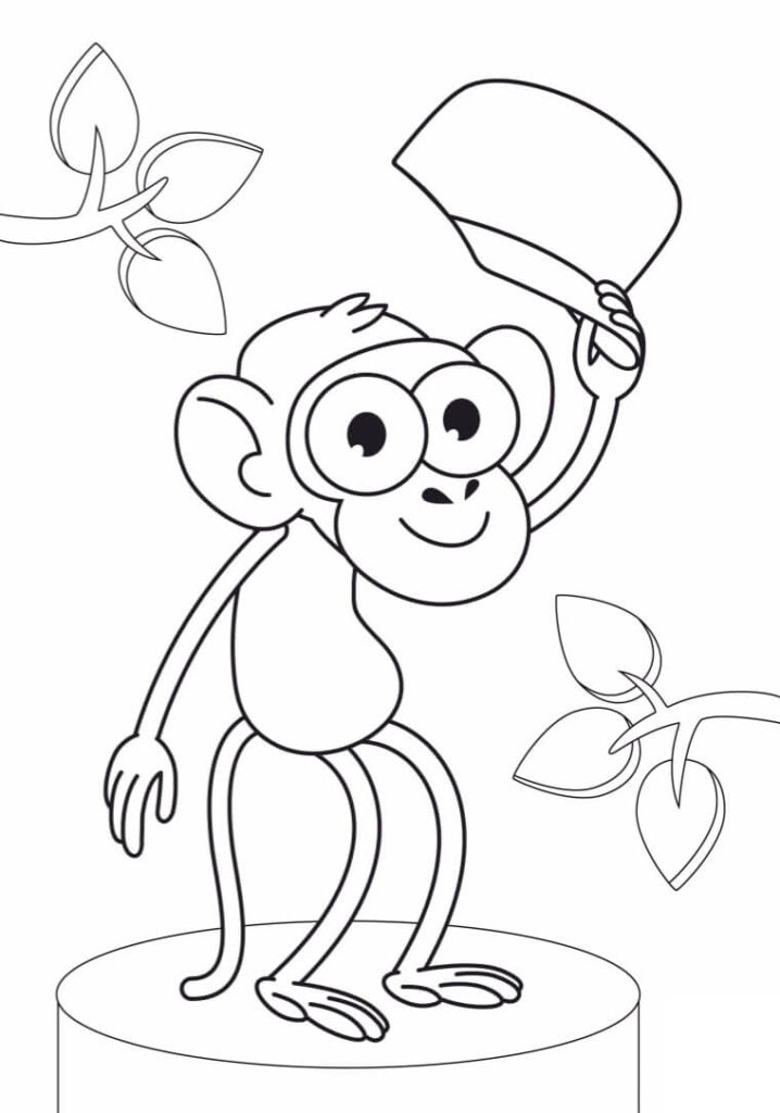 Desenho Macaco de Bob Zoom para Colorir