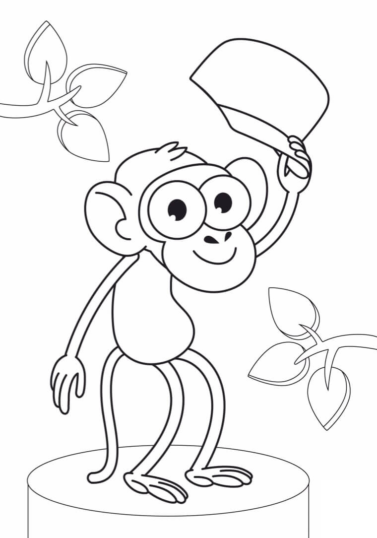 Desenho Macaco de Bob Zoom para Colorir