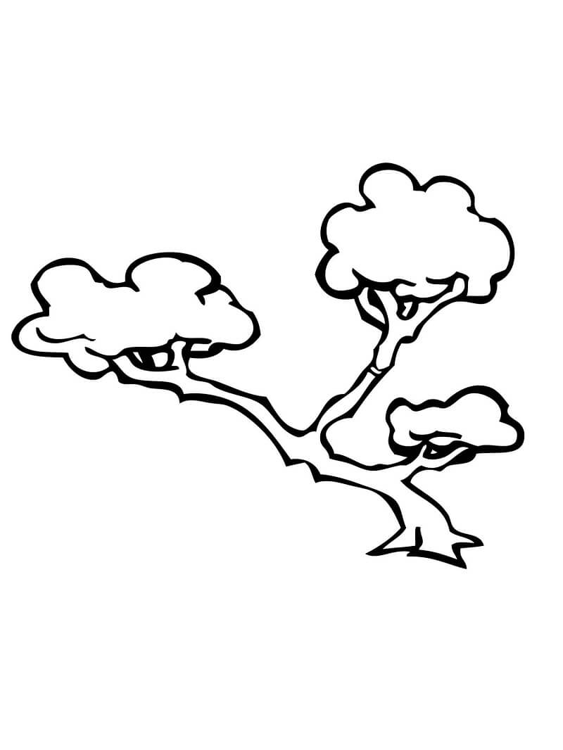 Desenho de Bonsai Lindo para Colorir com Lápis de Cor