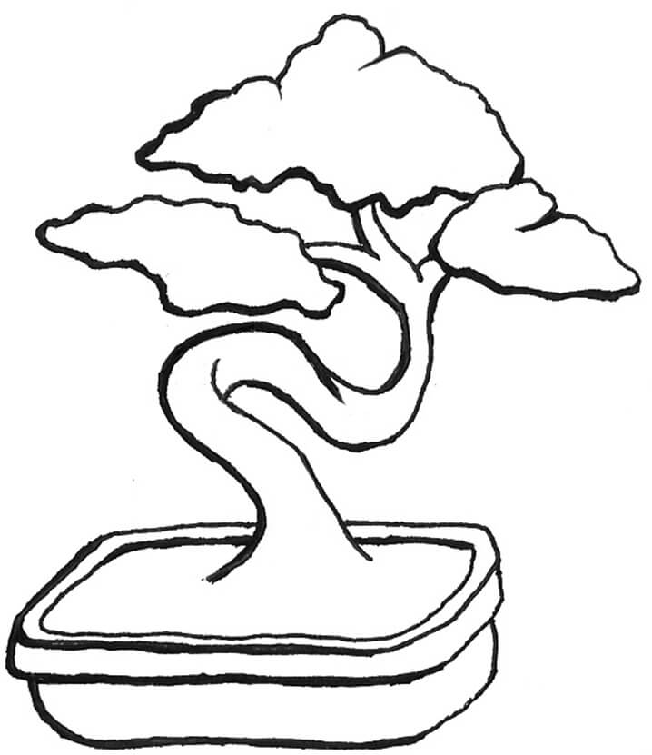 Desenho de Bonsai Lindo para Colorir e Imprimir Grátis