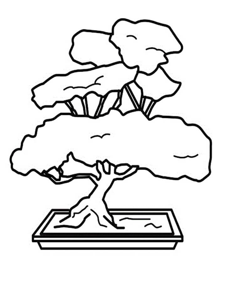 Desenho de Bonsai Lindo para Colorir Usando Giz de Cera