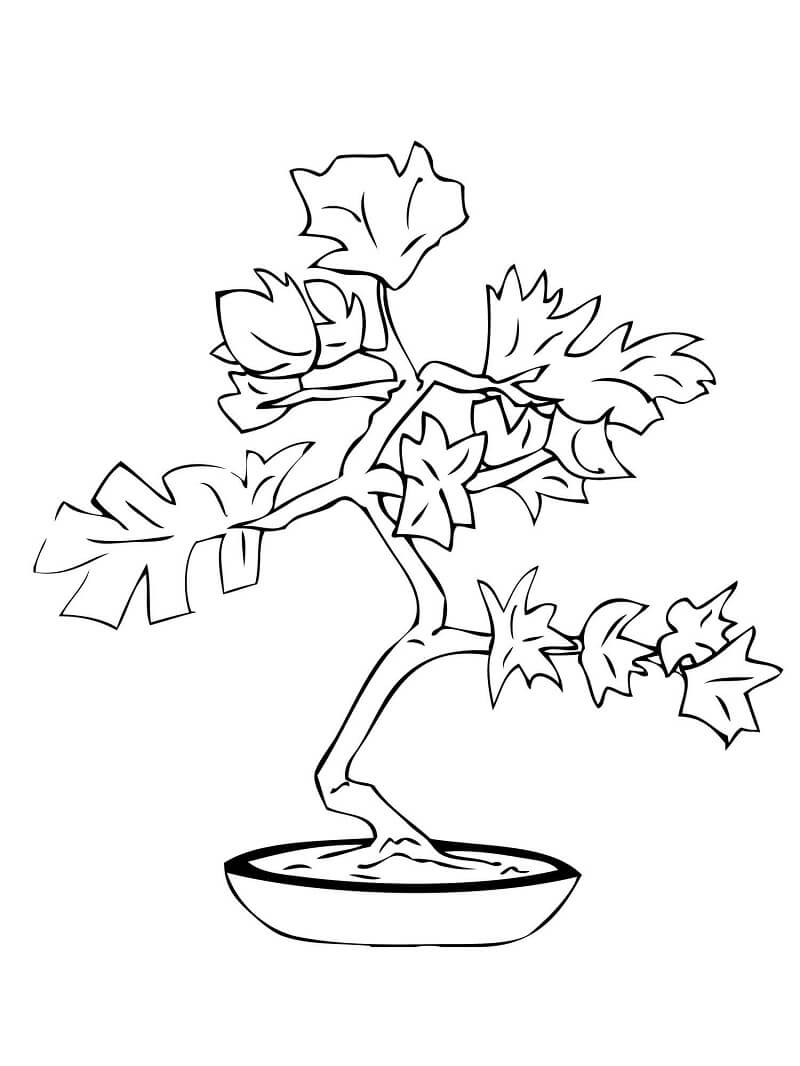 Desenho de Bonsai Normal para Colorir e Imprimir Pdf Grátis