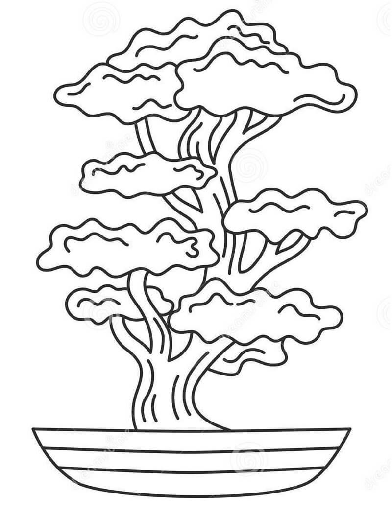 Desenho de Bonsai Normal para Colorir e Pintar com Tinta Guache