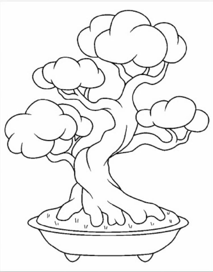 Desenho de Bonsai Normal para Colorir Usando Giz de Cera