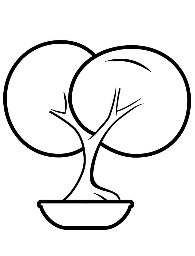 Desenho de Bonsai Simples para Colorir com Lápis de Cor