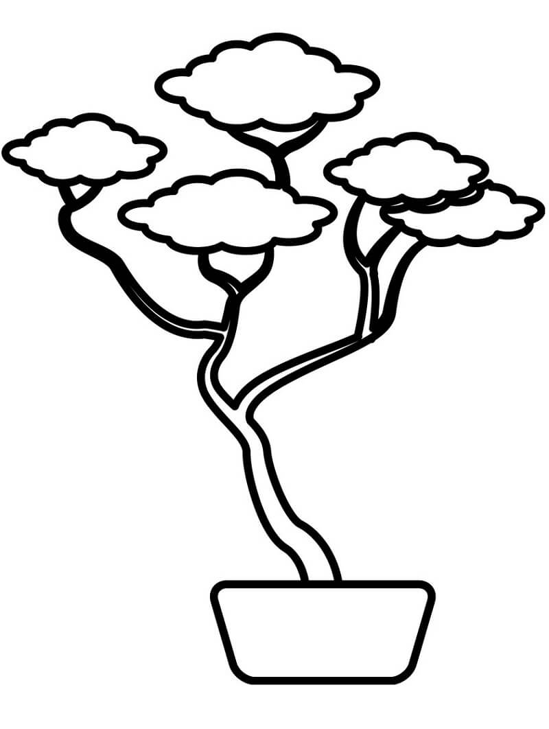 Desenho de Bonsai Simples para Colorir Usando Giz de Cera e Imprimir