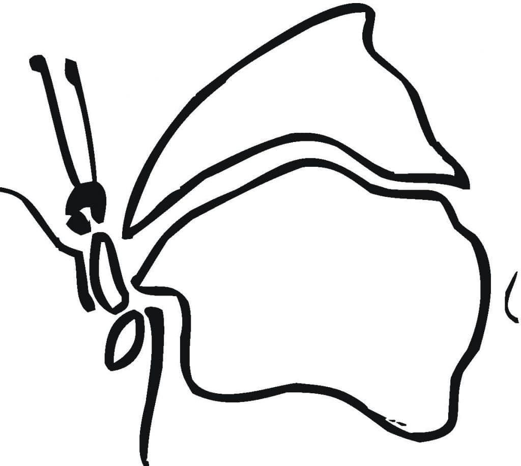Desenho de Borboleta Muito Simples para Colorir
