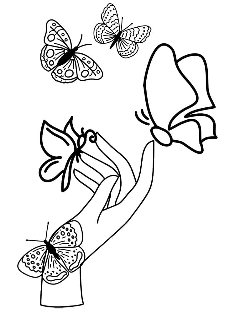Desenho de Borboletas Bonitas para Colorir