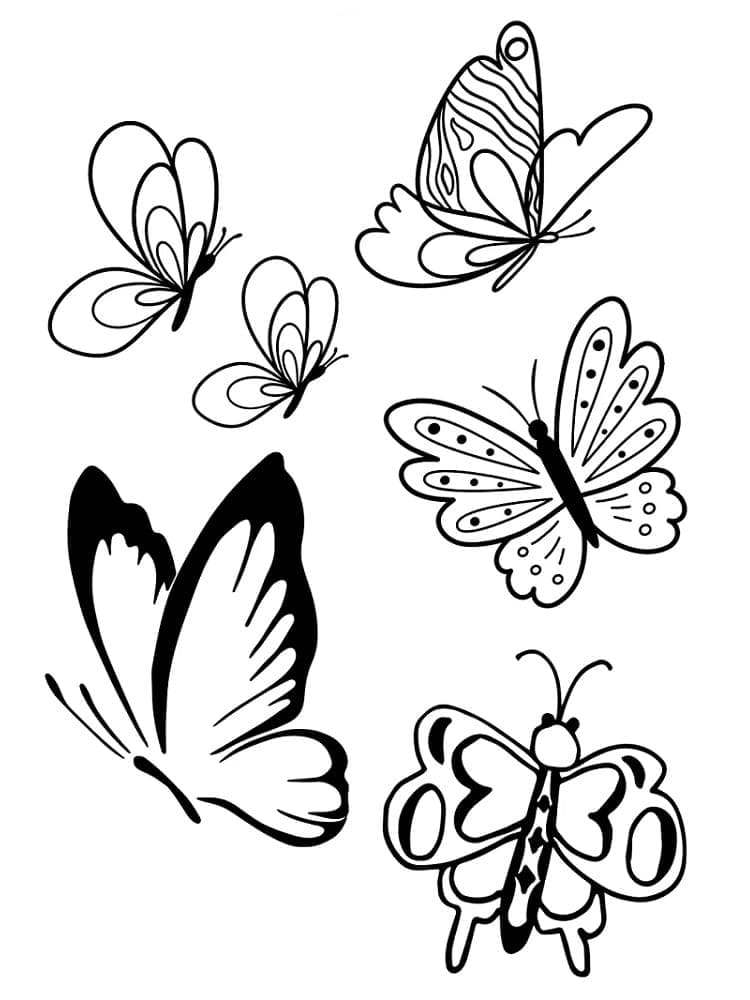 Desenho de Borboletas Muito Bonitas para Colorir