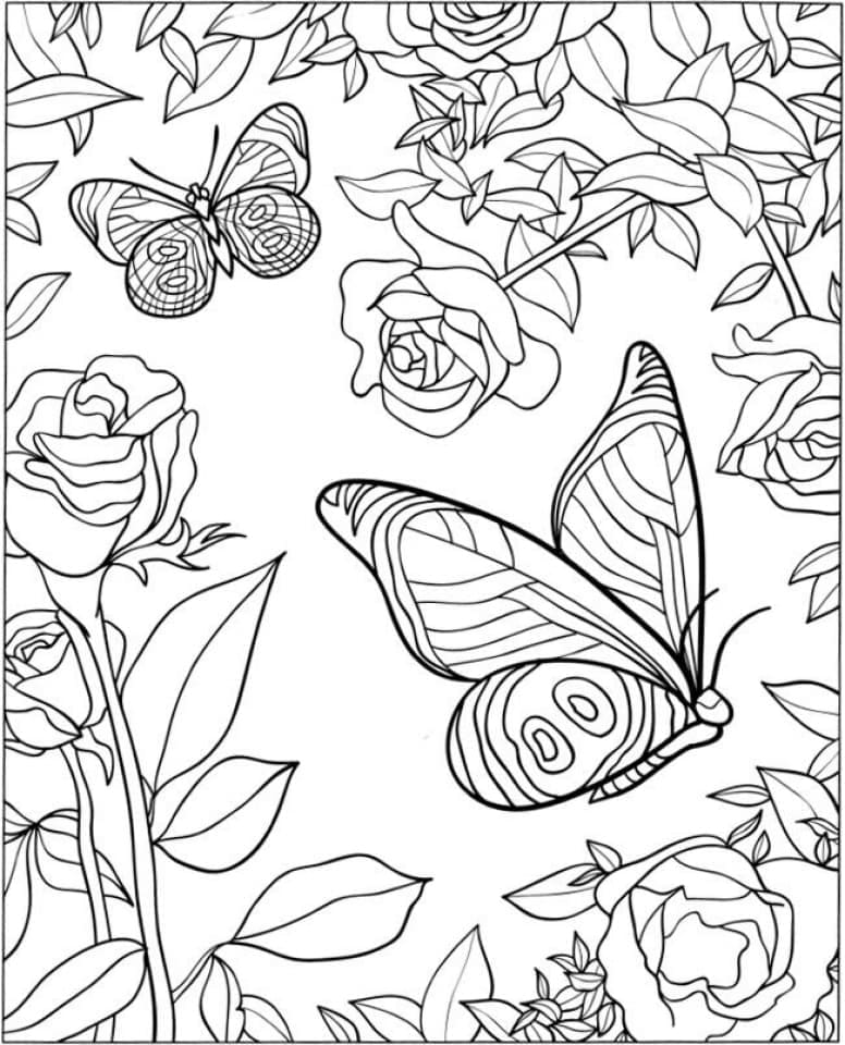 Desenho de Borboletas e Rosas para Colorir