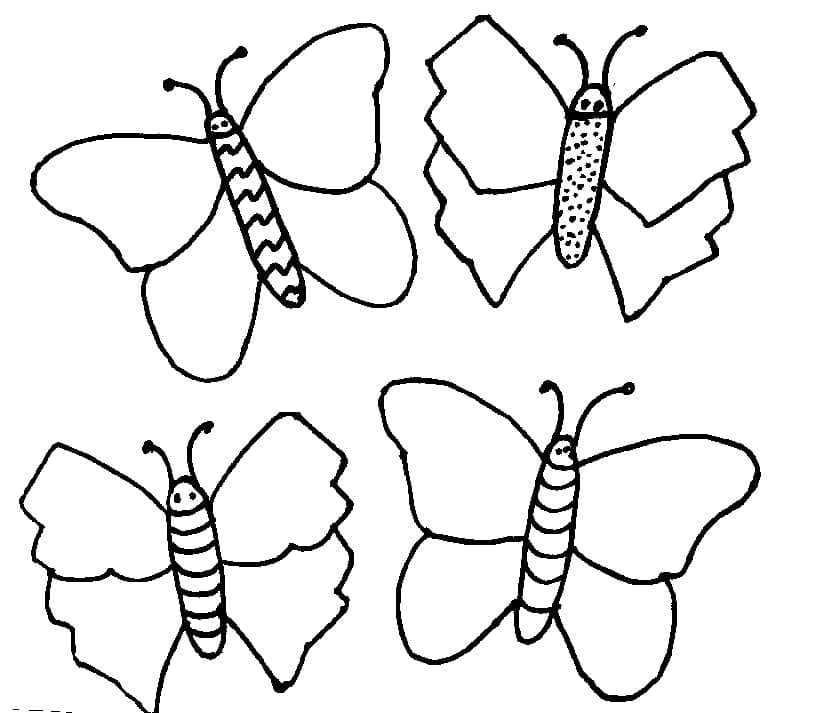 Desenho de Quatro Borboletas para Colorir