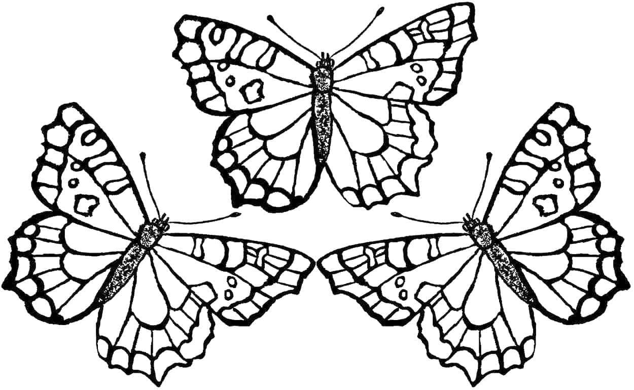 Desenho de Três Borboletas para Colorir