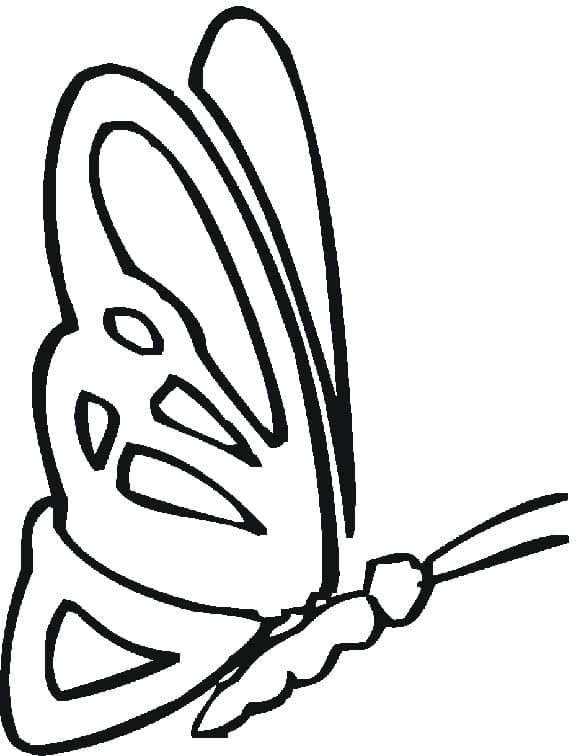 Desenho de uma Borboleta Fácil para Colorir