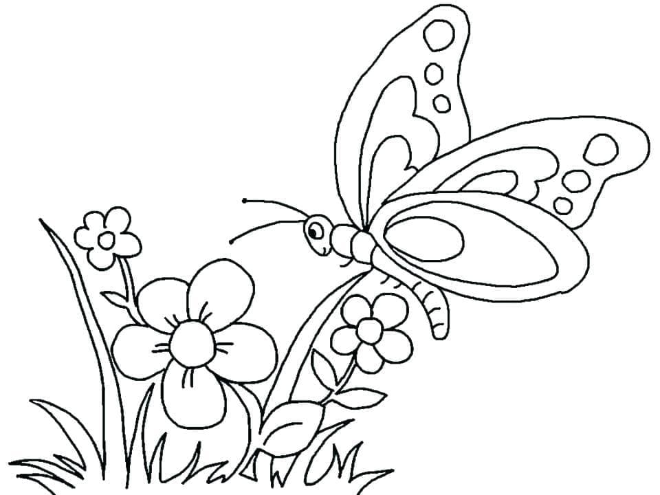Desenho de uma Borboleta Voadora para Colorir