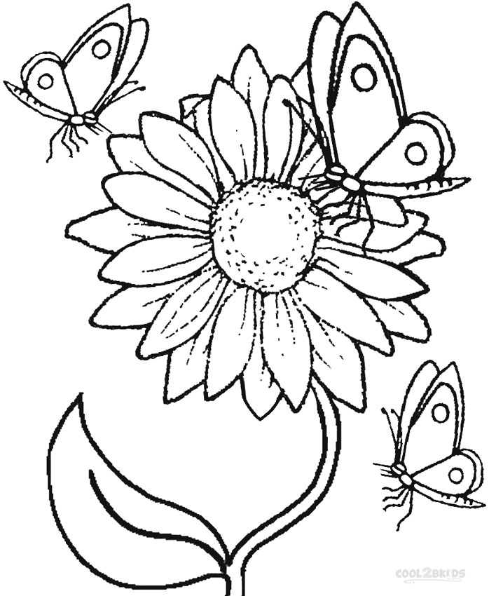 Desenho de Borboleta Download para Colorir