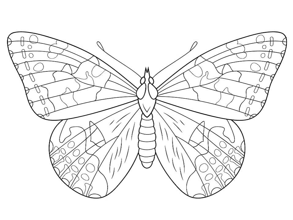 Desenho de Borboleta Download Pdf para Colorir