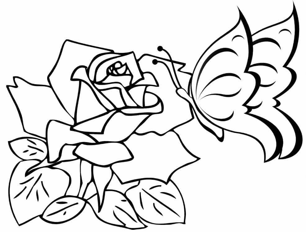 Desenho de Borboleta e Rosa para Colorir