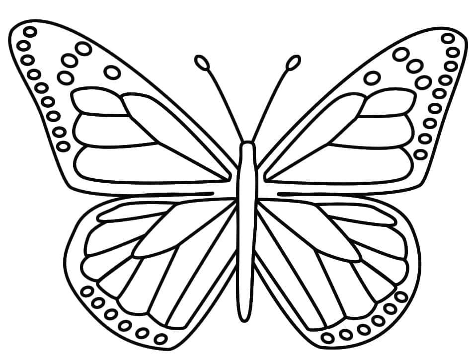 Desenho de Borboleta Grátis para Crianças para Colorir