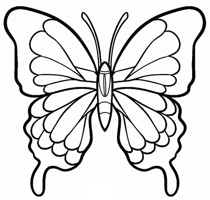 Desenho de Maravilhosa Borboleta Pdf para Imprimir e Colorir