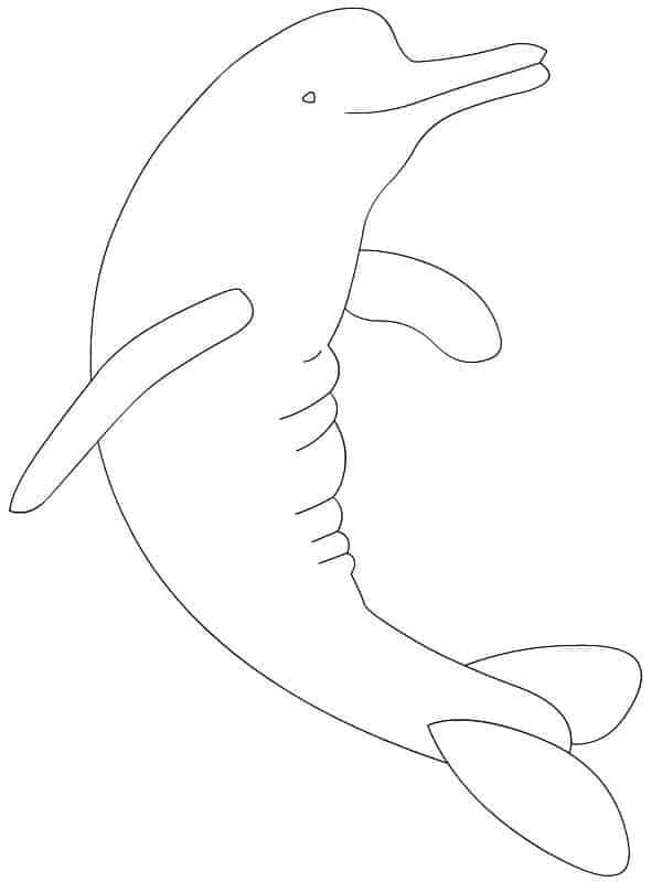 Desenho de Boto Cor de Rosa Nadando para Colorir