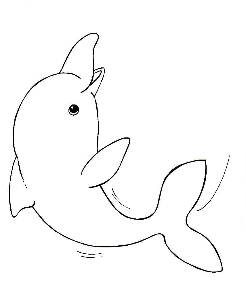 Desenho de Boto Cor de Rosa para Colorir e Pintar com Tinta Guache