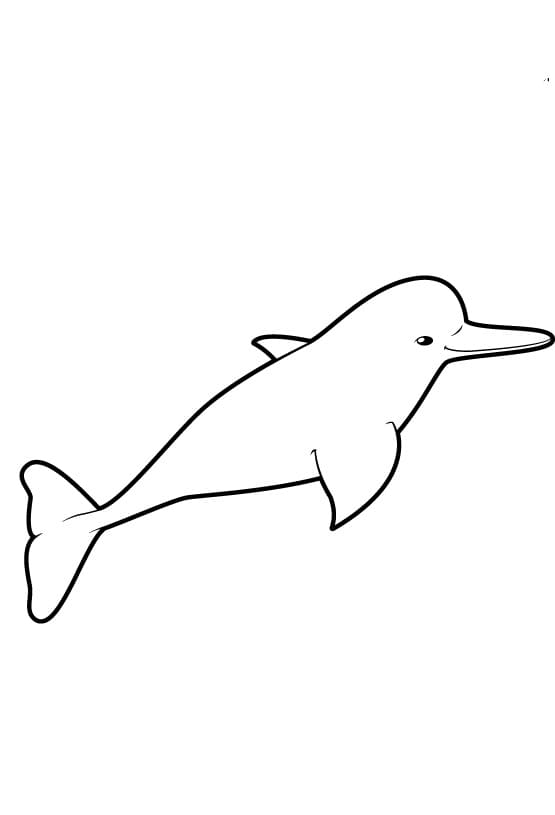 Desenho de Boto Cor de Rosa Simples para Colorir