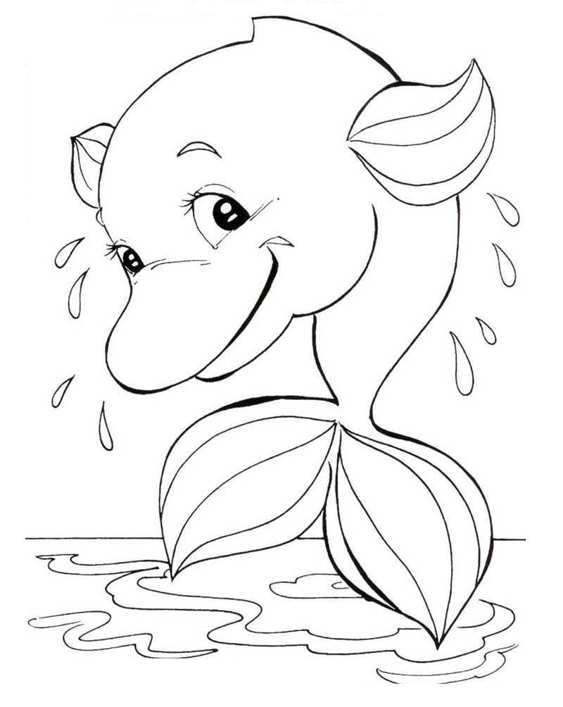 Desenhos de Boto Cor de Rosa para Colorir