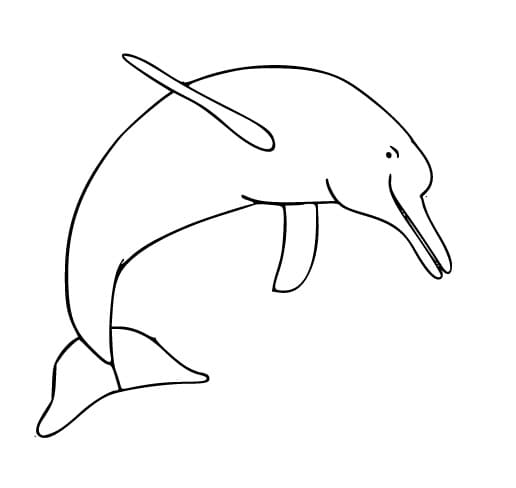 Desenho de um Boto Cor de Rosa Nadando para Colorir