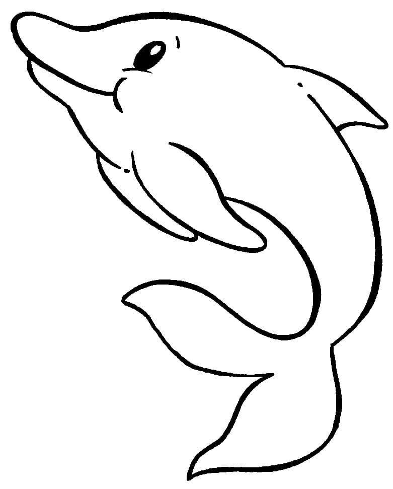 Desenho de um Boto Cor de Rosa para Colorir
