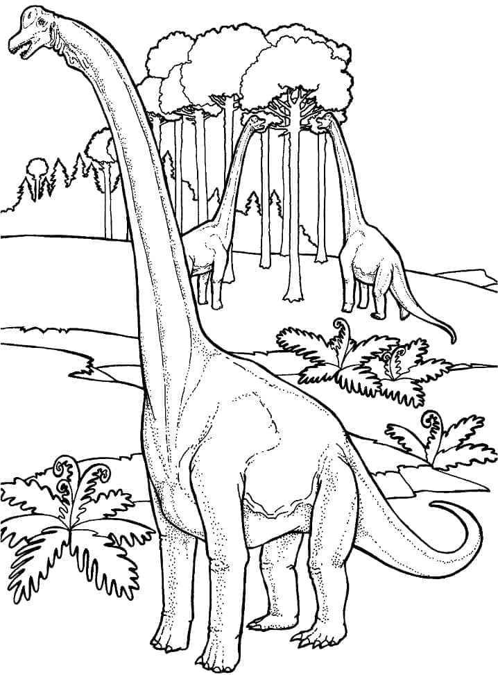 Desenho de Braquiossauro Grátis para Colorir